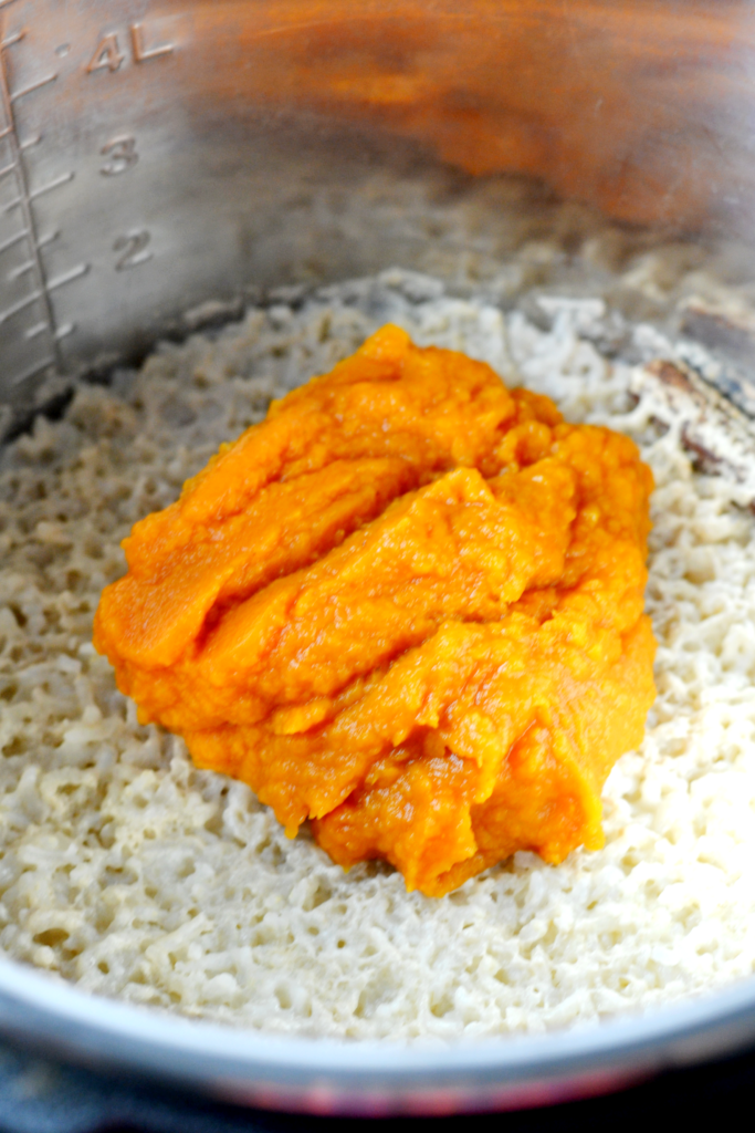 Vegan Pumpkin Rice Pudding | Delish D'Lites